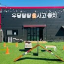 우당탕탕 사고뭉치 이미지