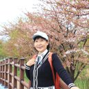 4월 13일 거울이가 사진으로 보는 풍경 - 경포호 벚꽃길 - 1 이미지