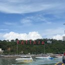 (유)산호택시 | 태국 파타야 호텔 추천 3곳 가성비 좋은 오션뷰 숙소 총 정리(오조노스호텔,멜리아파타야, 만다린...