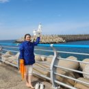 이호발전소 이미지