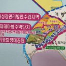 우정매향 이미지