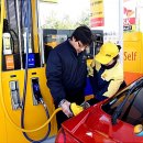 ㈜신세계주유소 이미지