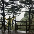 수지드림불한증막 이미지