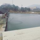 경기도 광주 진우낚시터 방문후기
