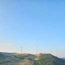 대관령 농장 이미지