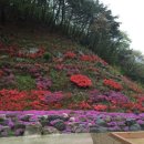 선암한옥펜션 이미지