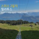 해외여행 :: 스위스 2일차 오전 루체른 필라투스산 터보건 가격 이용방법 후기