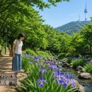 청포꽃 (함기선 시,정애련 곡) 양송미 메조소프라노 이미지