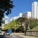 한림대학교 기숙사 | 8~11월 일기