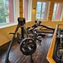 핑크덤벨 이미지