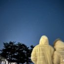 프롬도마 이미지