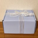 누베 | 아이폰 16 프로 케이스 감성까지 완성해주는 누베무드 버블 케이스 후기