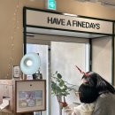 파인데이즈 이미지