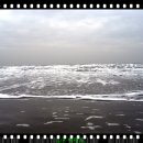 바다쪼개 이미지