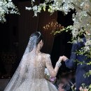 라플레르 이미지