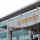 전남 이미지