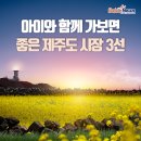 아이와 함께 가보면 좋은 제주도 시장 3선 ~~동문시장, 매일올레시장, 제주시민속오일장 등 이미지