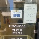 커먼독 이미지