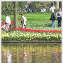 호프나라 이미지