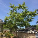 송암민박 이미지