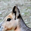 우리들40플란트치과병원 | 드디어 치아 고민 탈출! 연세 굿 플란트 치과에서 찐힐링 받고 왔어요