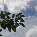 한덕농장 이미지