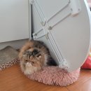 씨유 종로피아노길점 | [6월_2] 바다가 힘껏 껴안는 포옹이라면 강물은 부드러운 악수 같았다