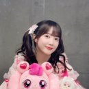 한지愛애 | Ayasa Birthday Idol ♡ Live ~ 하룻밤 한정 아이돌 커버 축제! ~ 이토 아야사 생일 라이브 양부 후기
