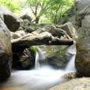 한닢과일 이미지