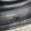 오토오아시스 롯데마트사상점 이미지