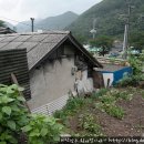 소나무안경 이미지