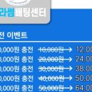 블라썸배팅센타 네이버블로그