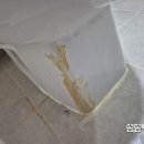 신일유토빌아파트경로당 | 화성 동탄 변기교체｜석우동 동탄예당마을 신일유토빌 아파트 한샘바스템 3100 변기 설치 후기