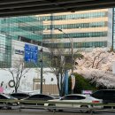 우성세탁소 | 아파트 임장 투어 서울 광진구 자양동 자양우성7차