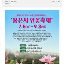 서울 봉은사 연꽃축제 사진 이미지