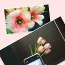 지연2농장 이미지