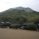 순천-65호 이미지