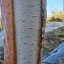 자작농장 이미지