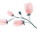 역삼-1218 이미지