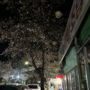 승호상회 이미지