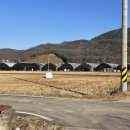 송화농장2 이미지