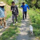 용경마을 이미지