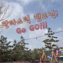 판타스틱 캠프닉 이미지