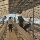 행정농장 이미지