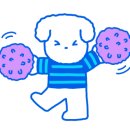 빙고 애견카페 이미지