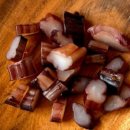 노란 오징어 이미지