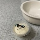 어 페일 블루닷 이미지