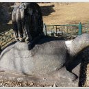 남원 실상사 증각대사탑비 이미지