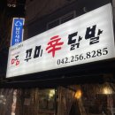 꾸미애견 | [대전 은행동] 매운 거 땡길때 생각나는 대전 로컬 닭발 맛집 '꾸미신닭발' (+주말 후기)