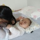 머리끄댕이 이미지